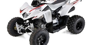 Aeon Cobra 350 2011 vs Adly Hurricane 320 2020