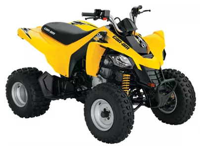 Can-Am DS 250 2011