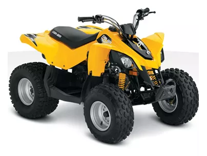 Can-Am DS 90 2011 Can-Am DS 90 2011