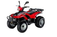 E-Ton Yukon 150 2011 - Bild 1