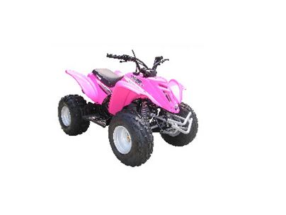 E-Ton Viper 90R 2011 E-Ton Viper 90R 2011