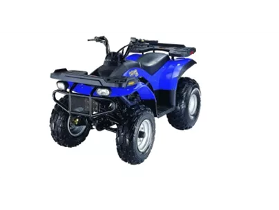 E-Ton Challenger 2011 E-Ton Challenger 2011