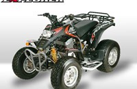 Explorer Stinger 250 2011 - Bild 1