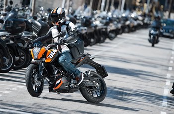 KTM 200 Duke 2012 - Bild 9 KTM 200 Duke 2012 - Bild 9