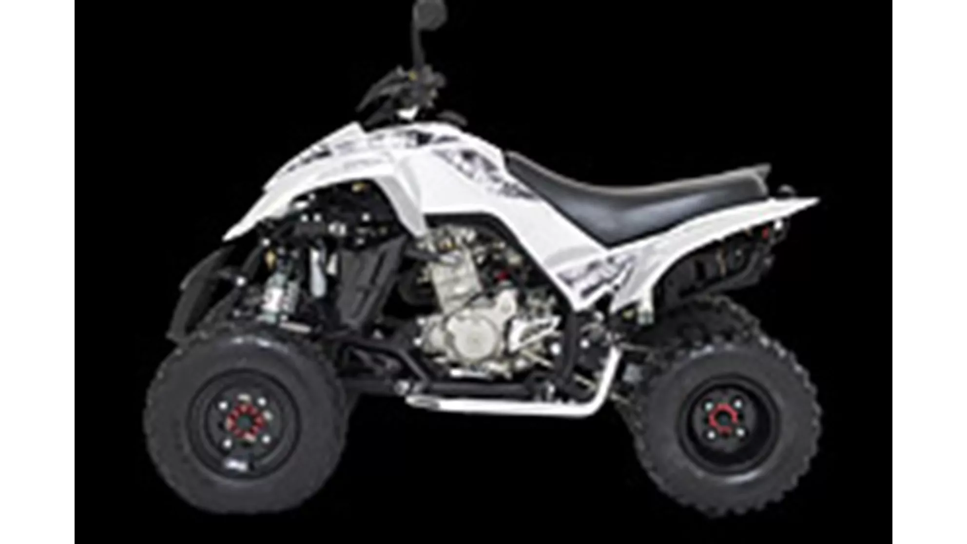 Dinli Sports 450 Special Onroad - afbeelding 1