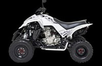 Dinli Sports 450 Special Onroad 2012 - Bild 3