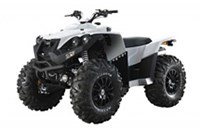 Dinli Centhor 800 Evolution 4x4 2012 - Bild 5