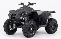 Dinli Centhor 800 Evolution 4x4 2012 - Bild 1