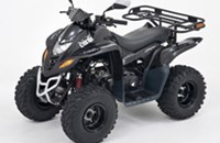 Dinli 50 Special 2012 - Bild 3