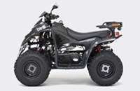 Dinli 50 Special 2012 - Bild 4