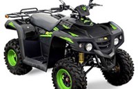 Dinli 450 R 2012 - Bild 2