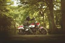 Victory Hammer S 2012 - Bild 4