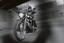 Victory Vegas 8-Ball 2012 - Bild 5