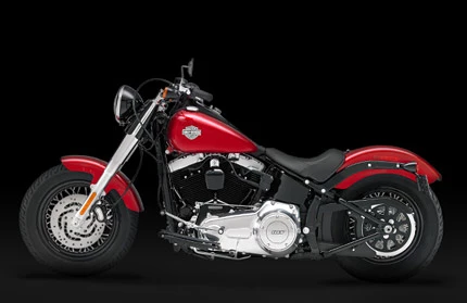 Harley-Davidson Softail Slim FLS 2012 Harley-Davidson Softail Slim FLS 2012