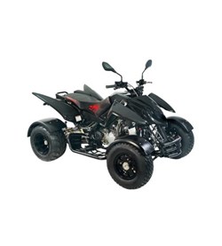 Triton Black Lizard 450 2012