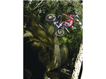 Honda Montesa COTA 4RT 2012 - Bild 10