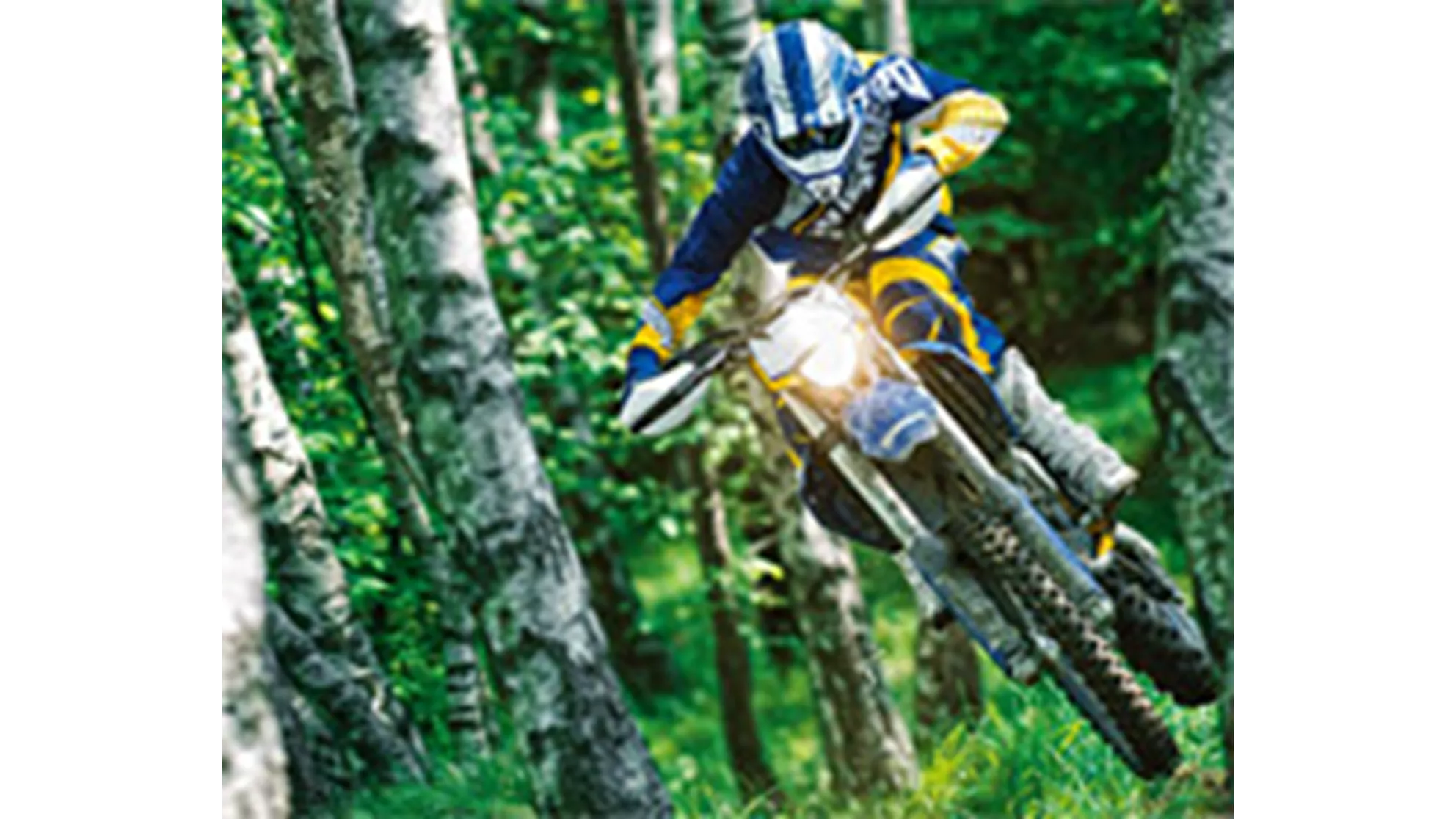 Husaberg FE 450 - Image 2 Husaberg FE 450 - Image 2