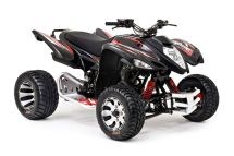 Beeline Bestia 3.3 Supermoto 2012 - Bild 4 Beeline Bestia 3.3 Supermoto 2012 - Bild 4