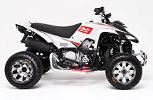 Beeline Bestia 5.5 Supermoto Beeline Bestia 5.5 Supermoto