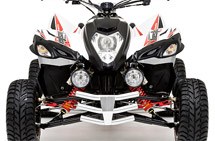 Beeline Bestia 5.5 Supermoto 2012 - Bild 3 Beeline Bestia 5.5 Supermoto 2012 - Bild 3