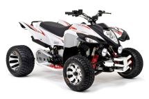 Beeline Bestia 5.5 Supermoto 2012 - Bild 7 Beeline Bestia 5.5 Supermoto 2012 - Bild 7