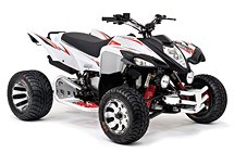 Beeline Bestia 5.5 Supermoto 2012 Beeline Bestia 5.5 Supermoto 2012