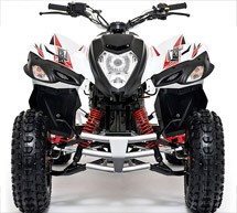 Beeline Bestia 3.3 Offroad 2012 - Bild 3
