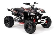 Beeline Bestia 5.5 Offroad 2012 - Bild 6