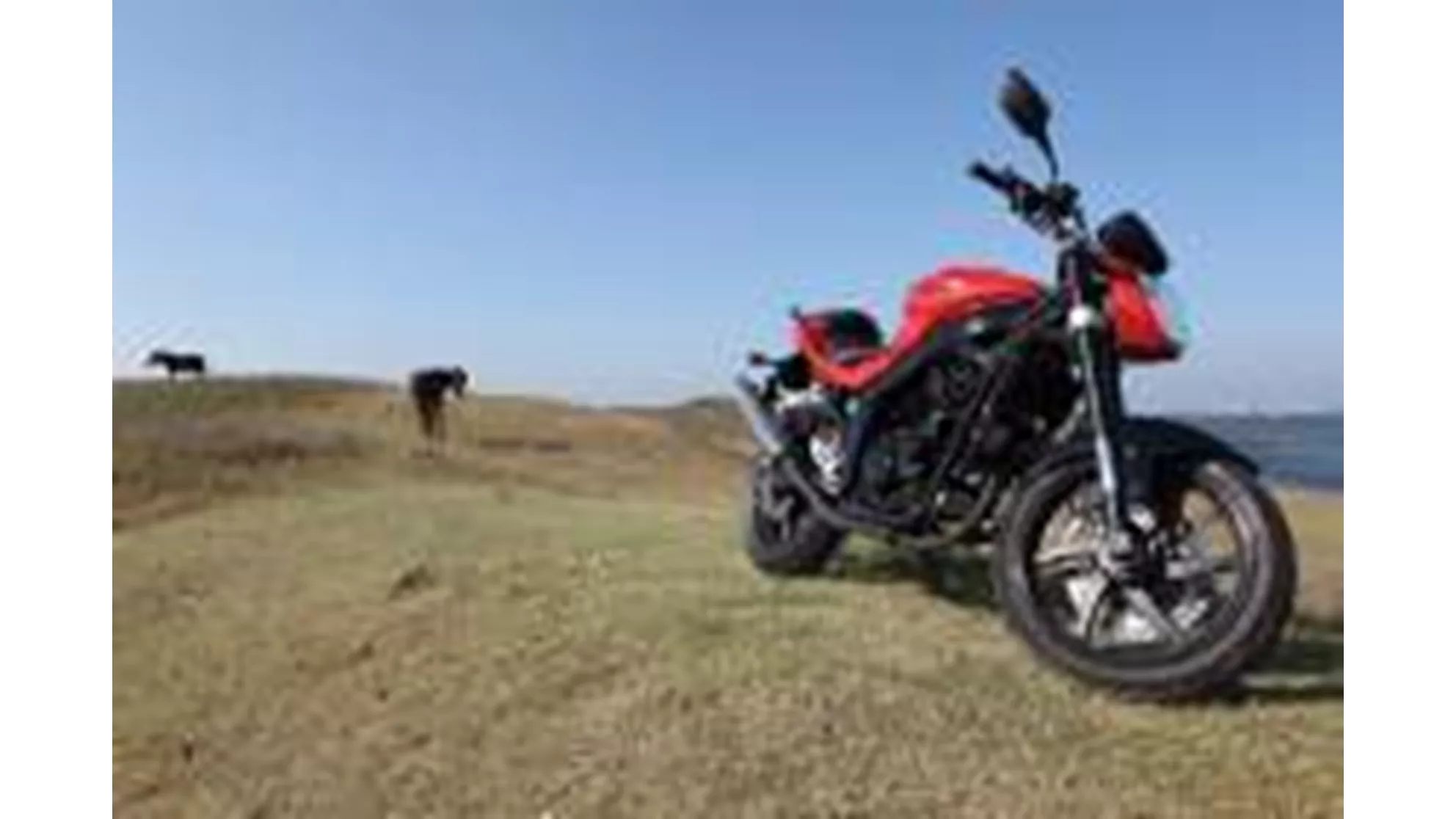 Hyosung GT 250i Naked - Image 9 Hyosung GT 250i Naked - Image 9