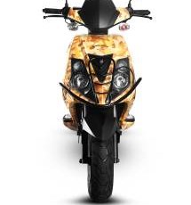 Tauris Samba 50 2012 - Bild 3