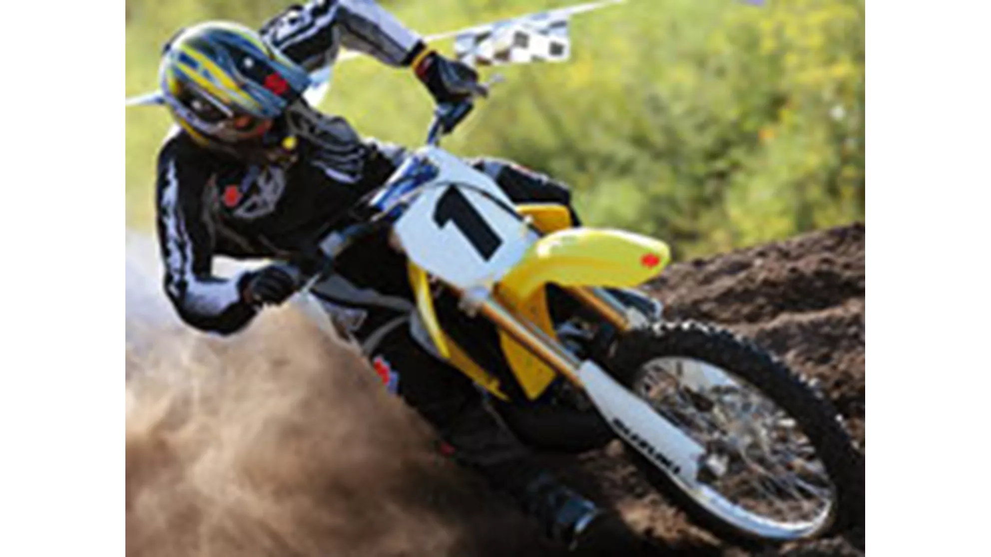 Suzuki RM-250 - Image 6 Suzuki RM-250 - Image 6