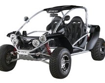 PGO Bug Racer 500 2012 - Bild 3