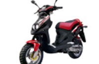 PGO PMS 110 2012 - Bild 2 PGO PMS 110 2012 - Bild 2