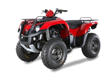 Sym Quad Raider 600 2012