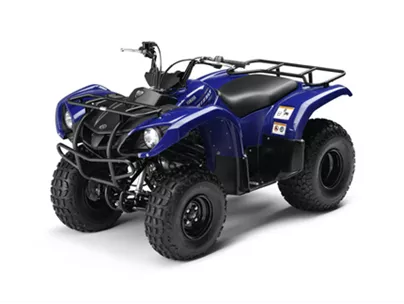 Yamaha Grizzly 125 2012 Yamaha Grizzly 125 2012