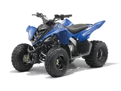 Yamaha YFM 90 2012 Yamaha YFM 90 2012