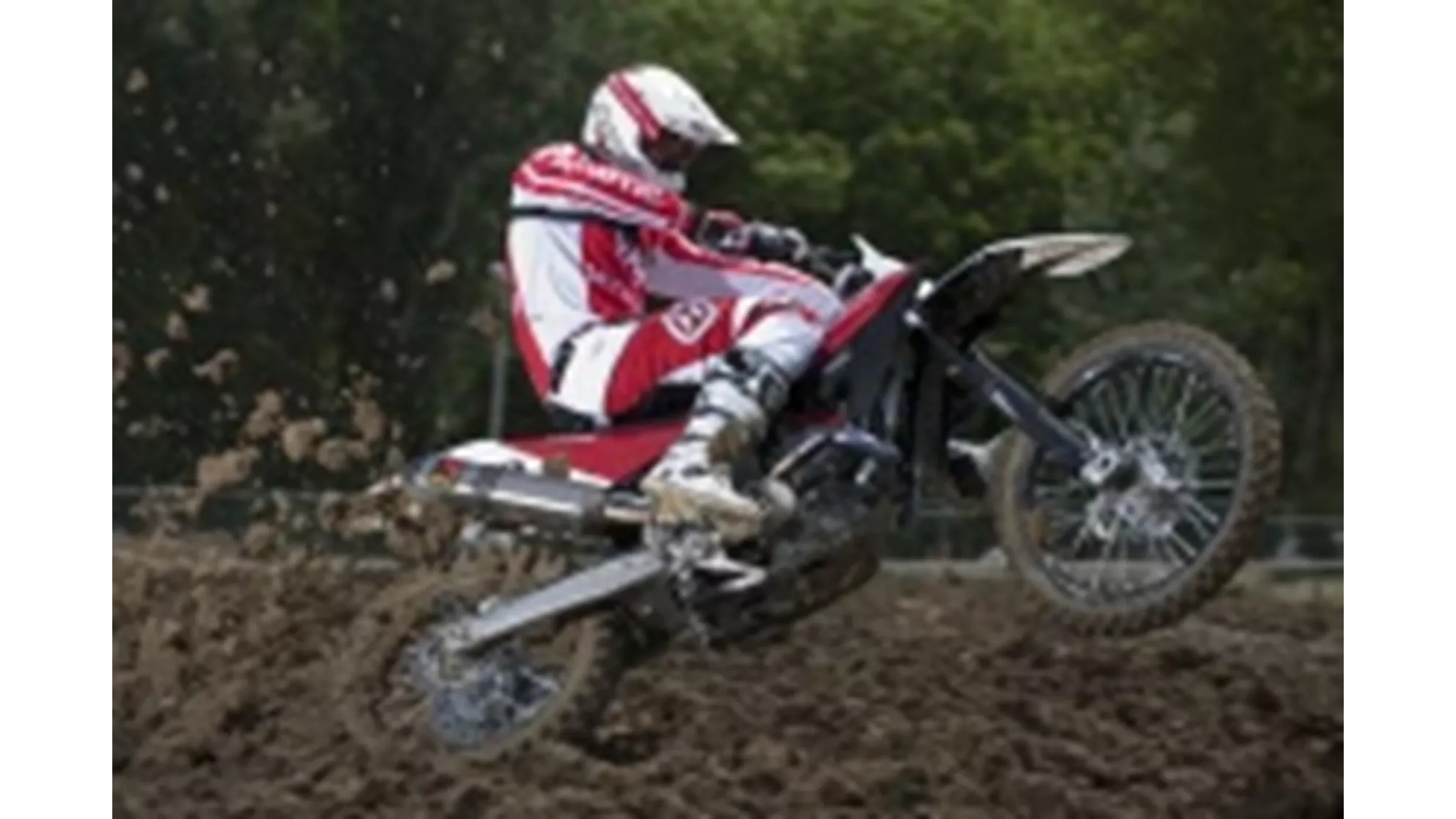 Husqvarna TC 449 - Image 3 Husqvarna TC 449 - Image 3