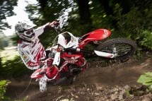 Beta RR 498 4T 2012 - Bild 2