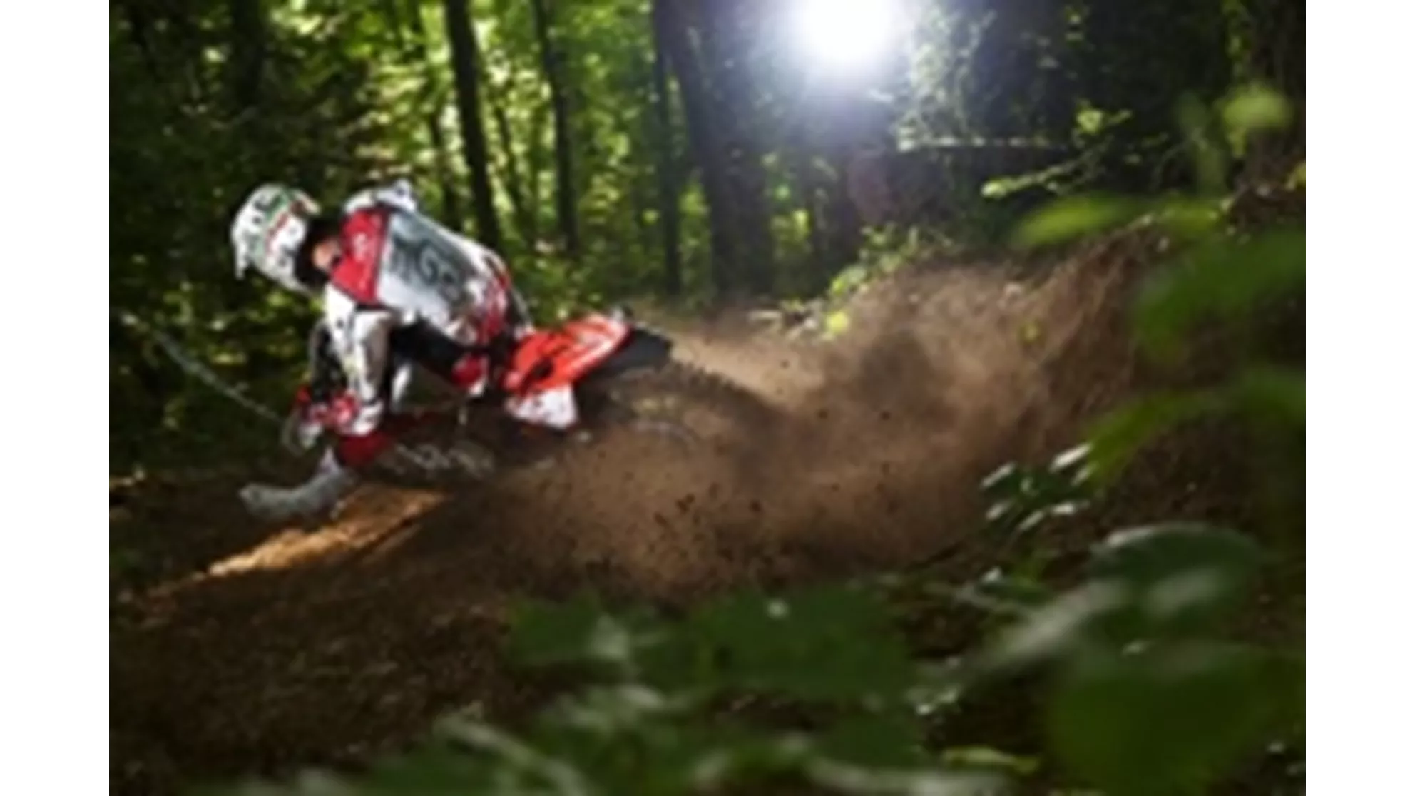 Beta RR 498 4T - Image 1 Beta RR 498 4T - Image 1