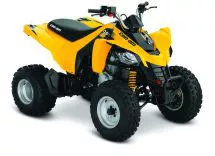 Can-Am DS 250 Can-Am DS 250