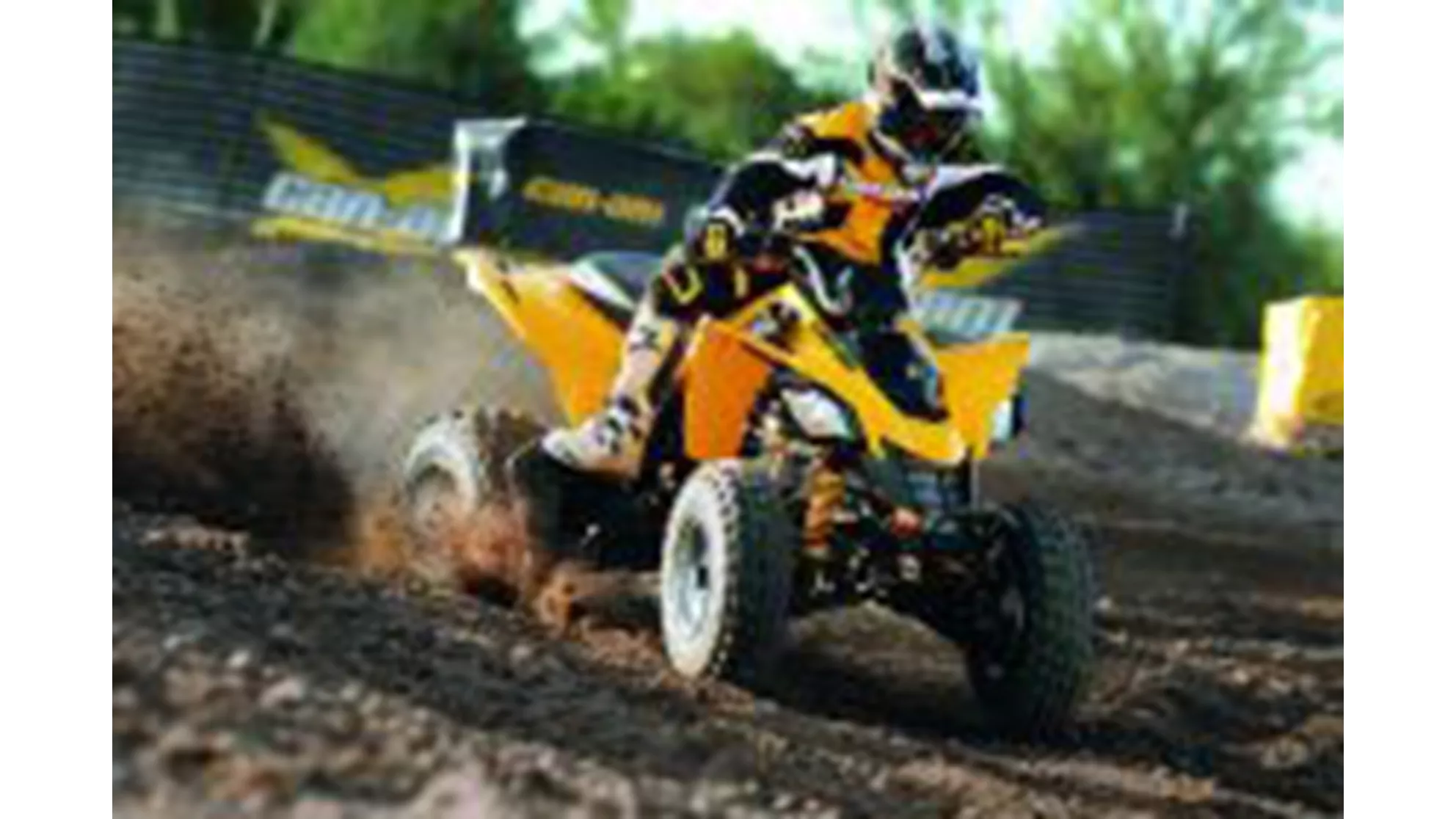 Can-Am DS 250 - Image 1 Can-Am DS 250 - Image 1