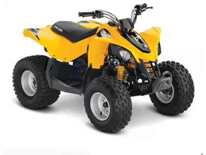 Can-Am DS 90 2012