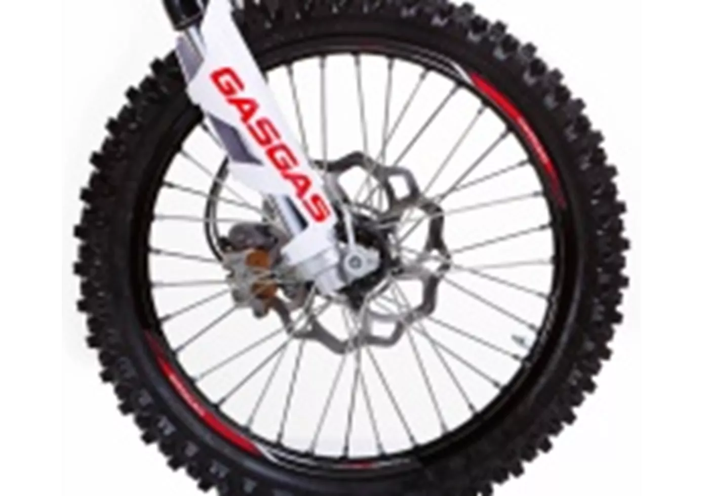 GASGAS EC 300 Racing 2012 GASGAS EC 300 Racing 2012