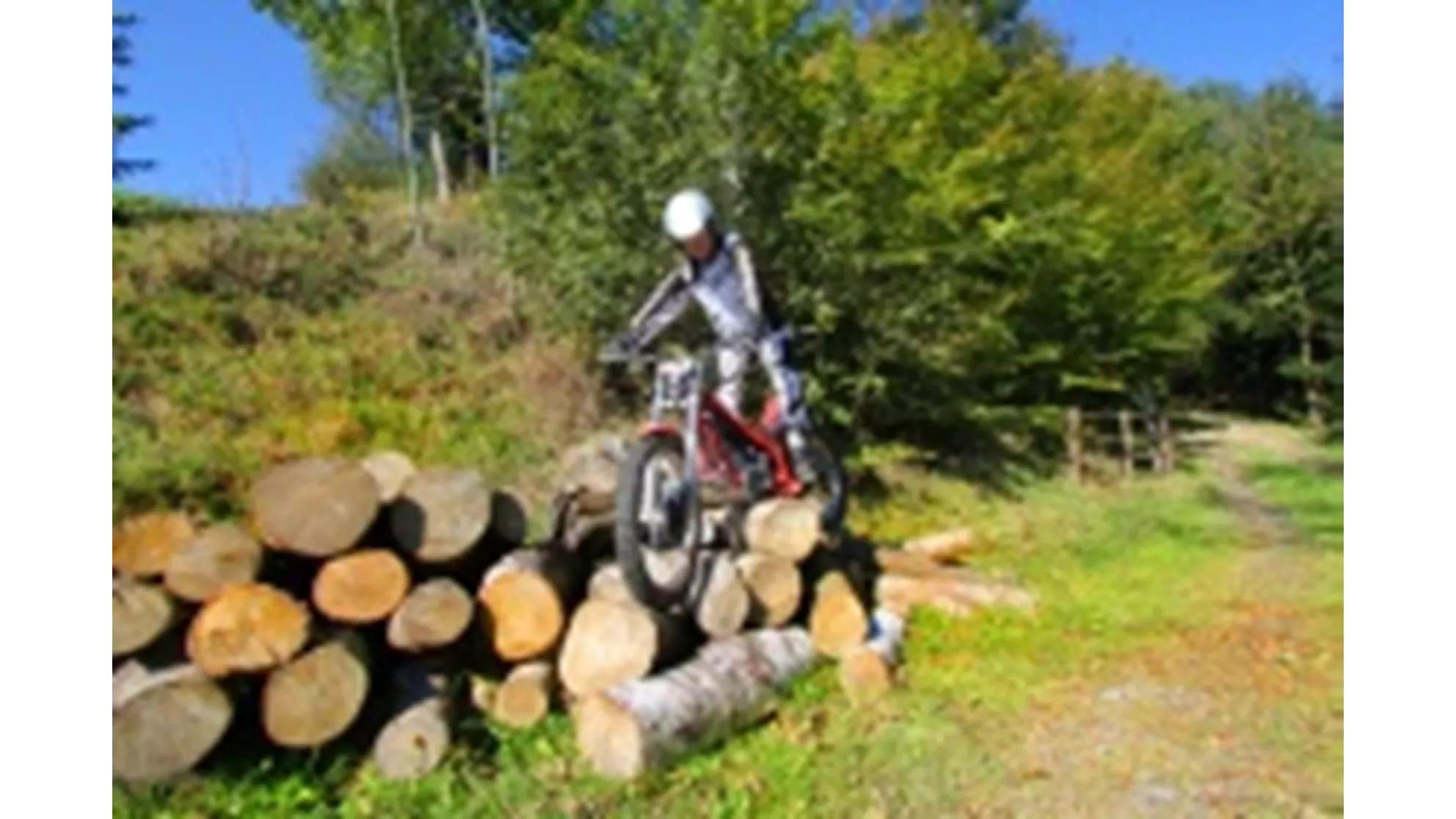 GASGAS TXT 280 Pro Eco - Image 4 GASGAS TXT 280 Pro Eco - Image 4