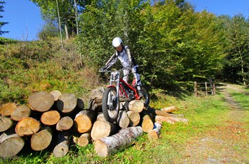 GASGAS TXT 280 Pro Eco 2012 - Bild 12