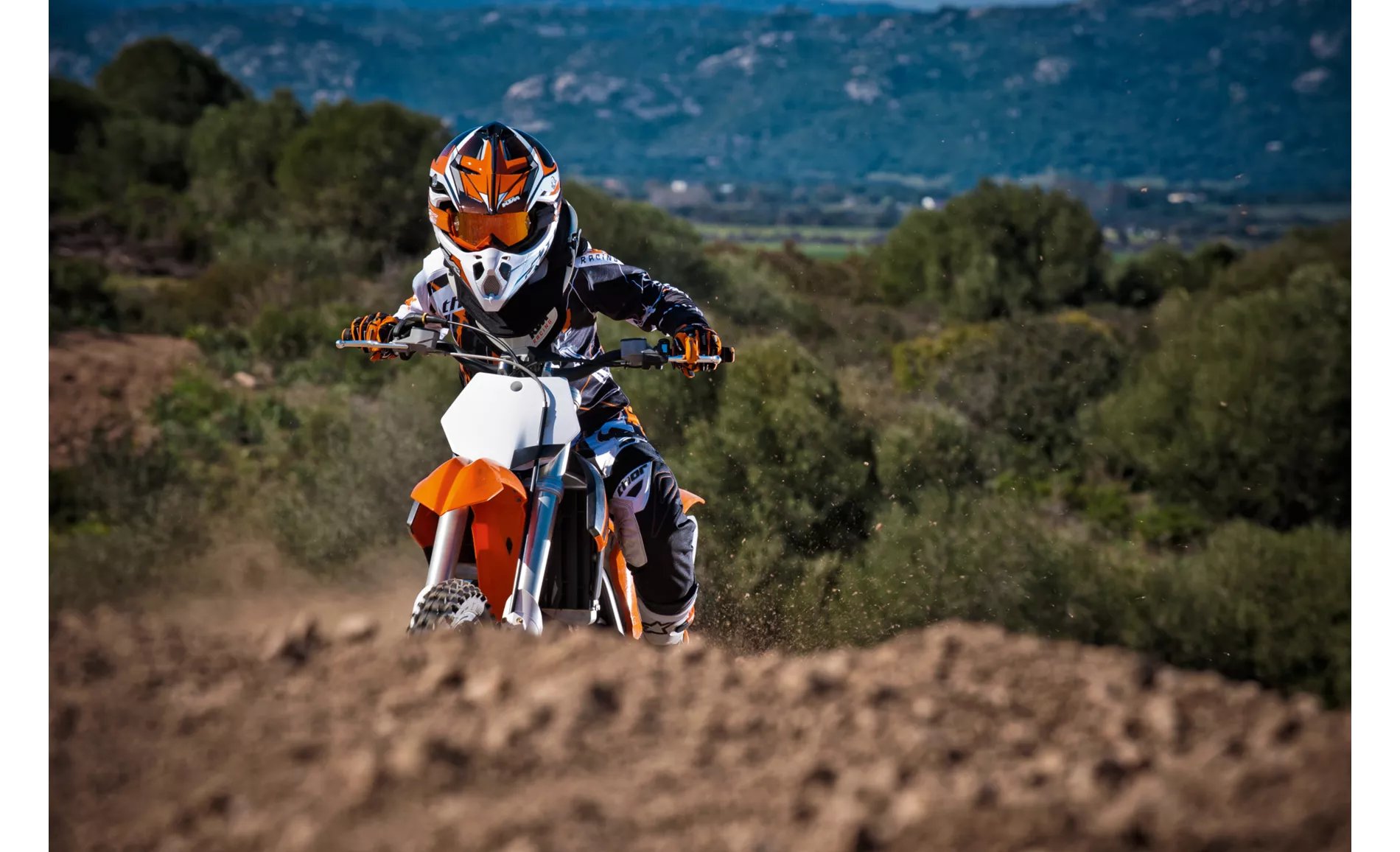 KTM 50 SX 2013 KTM 50 SX 2013