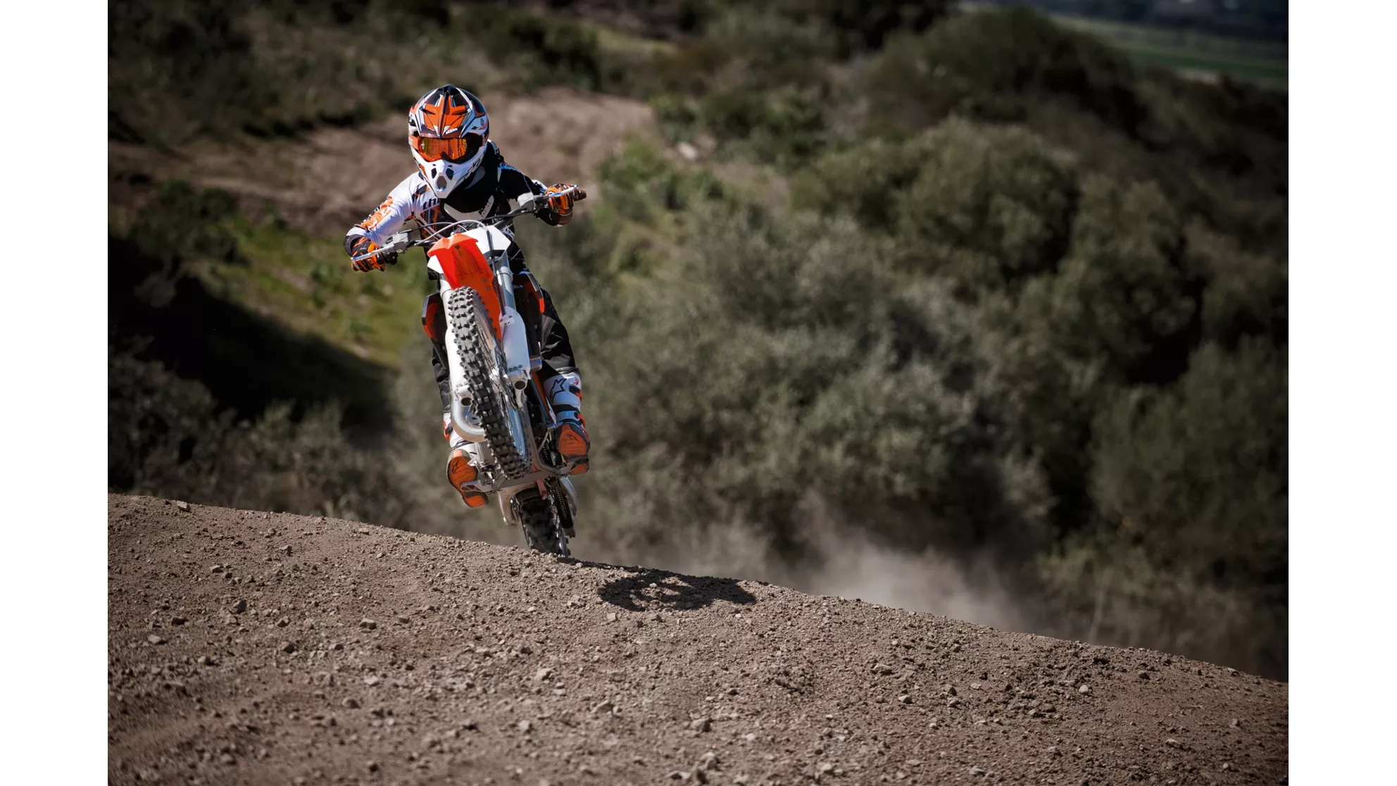 KTM 65 SX - Image 10 KTM 65 SX - Image 10