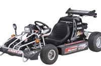 Kreidler F-Kart 170 2013 - Bild 1