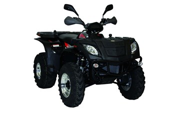 Linhai 320 4x4 2013 - Bild 2