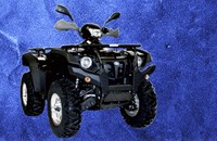 Linhai 600 EFI 4x4 LOF 2013 - Bild 1